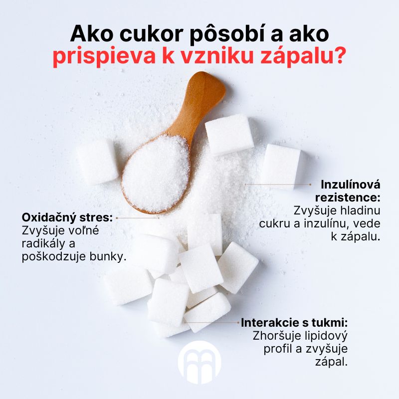 (Slovenčina) Jak cukr působí a jak přispívá ke vzniku zánětu